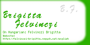 brigitta felvinczi business card